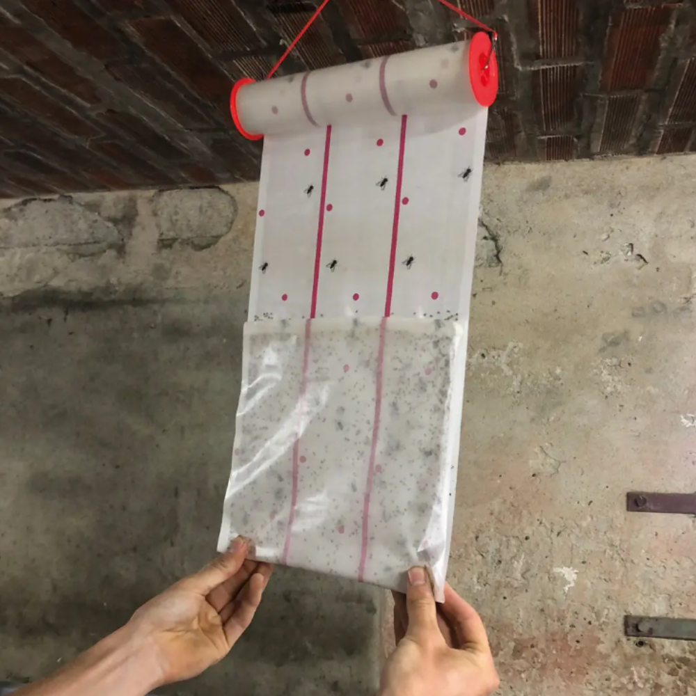 Mušpapīrs rullī MS EcoGlue, 10 m x 25 cm